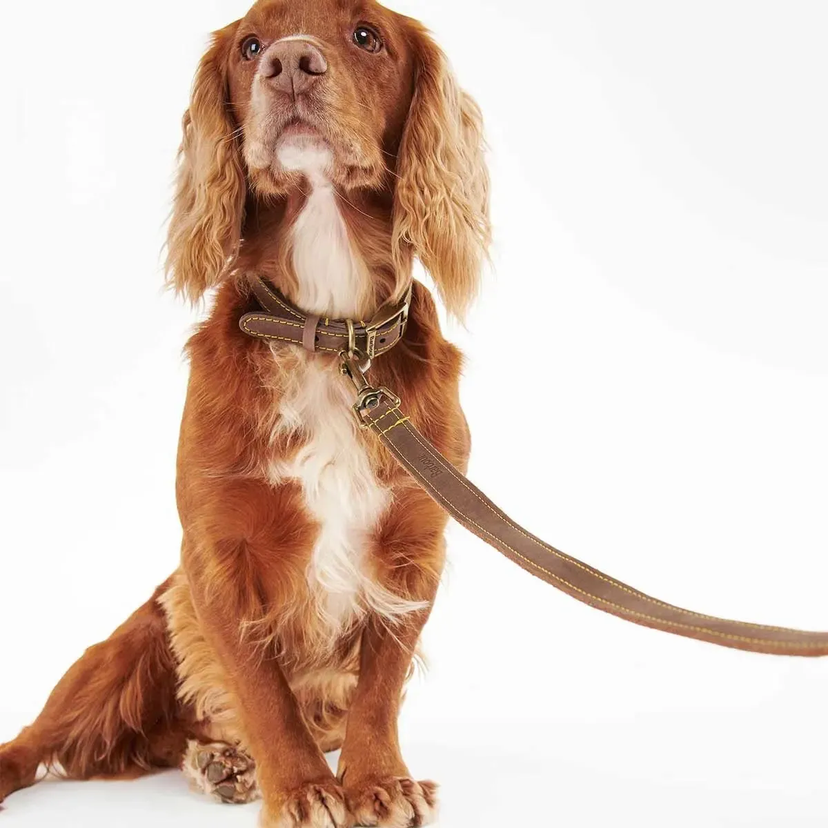 BARBOUR Dog Leather Lead - Brown