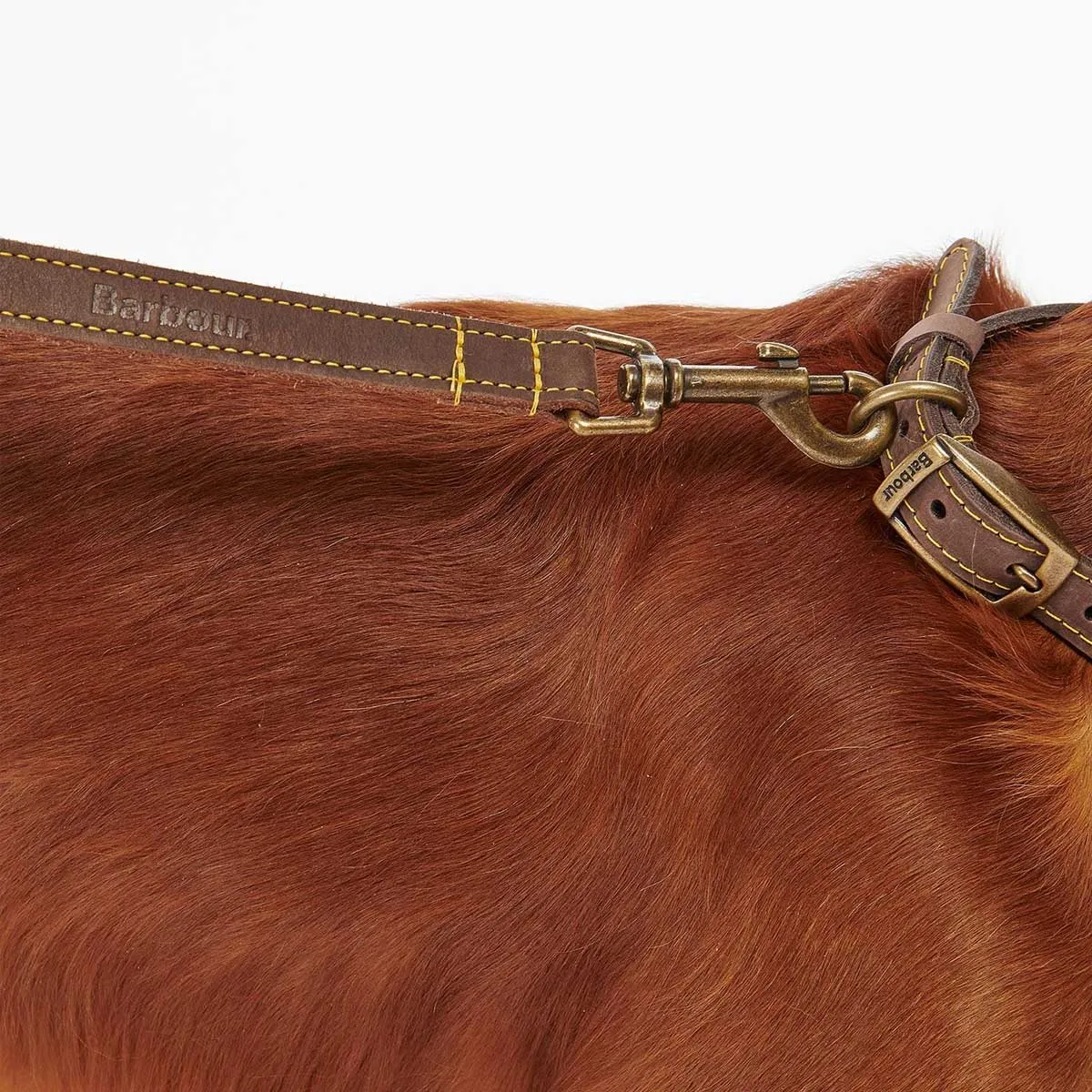 BARBOUR Dog Leather Lead - Brown