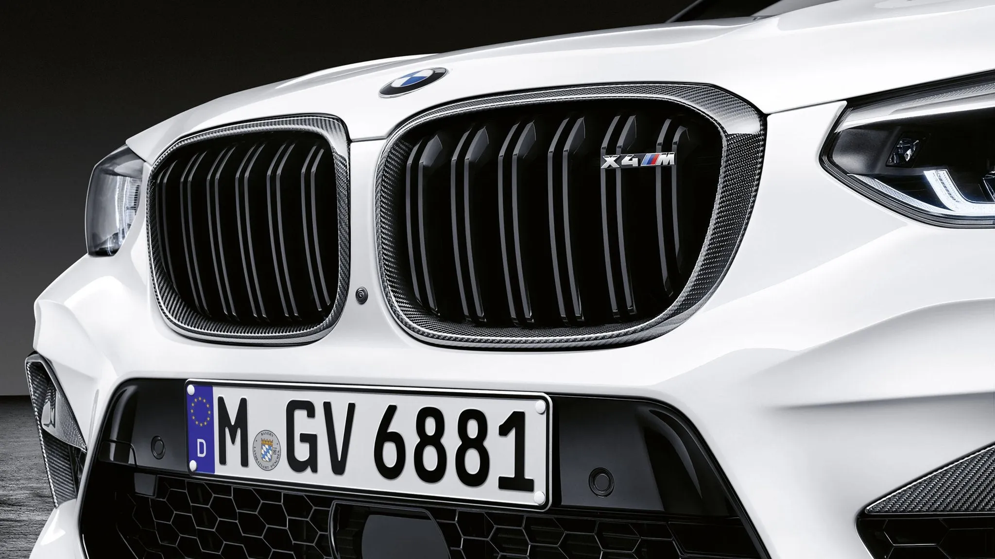 BMW M Performance F98 X4M Pre-LCI Carbon Front Grille Set
