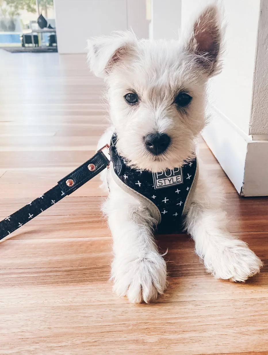 "Blessed" City Leash