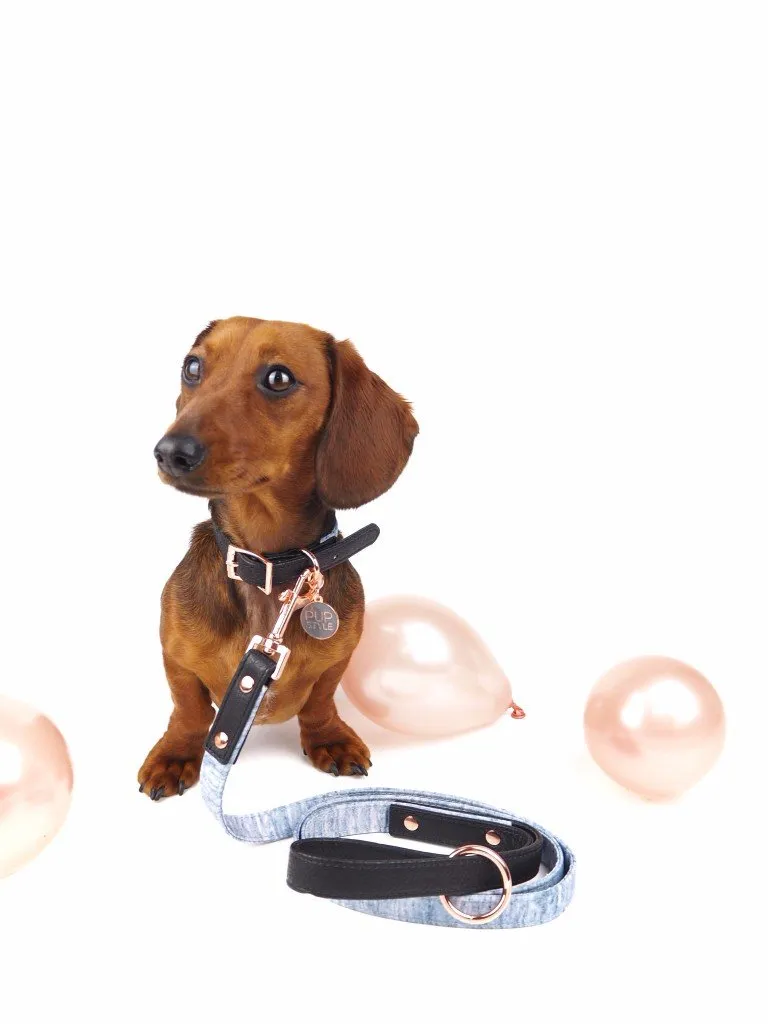 "Grey Days" City Leash